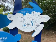 -广东惠东海龟国家级自然保护区