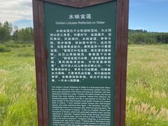 -御道口草原森林风景区