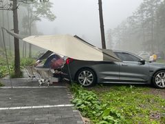 -武陵山森林公园