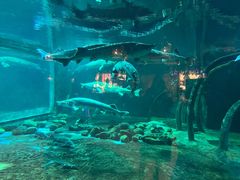 -华夏文旅海洋公园