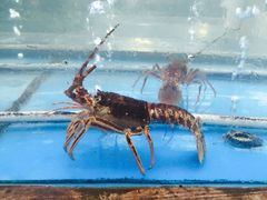 -龙达温泉生态城
