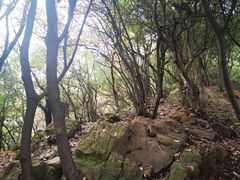 -杭州半山国家森林公园