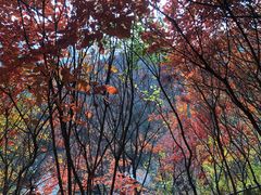-周口店坡峰岭风景区