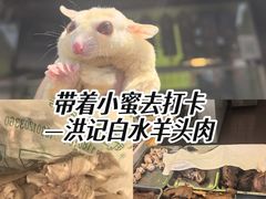 -洪记白水羊头(留学路店)