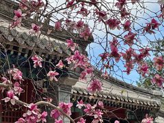 -潭柘寺景区