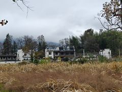 -塔川景区