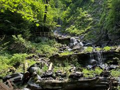 -凤凰山国家森林公园