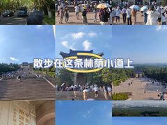 -中山陵