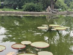 -国家植物园南园