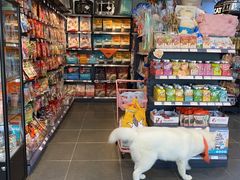 -萌兽医馆·眼科·异宠专科(三里屯店)