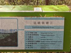 -西湖风景区-江洋畈生态公园