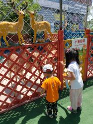 -萌宠亲子动物乐园(槐房万达店)