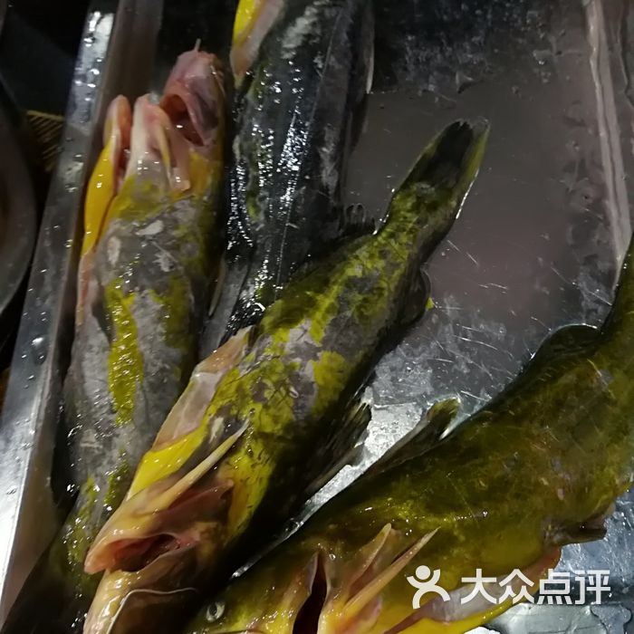 地锅传奇昂刺鱼图片-北京火锅-大众点评网