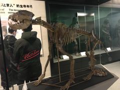 -北京周口店北京人遗址博物馆