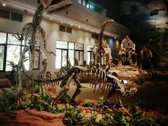 -自贡恐龙博物馆