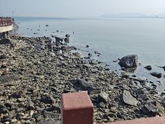 -养马岛旅游度假区