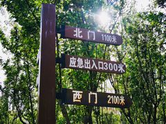 -永定河休闲森林公园