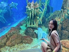 -哈尔滨波塞冬海底世界