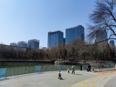 -黄村公园