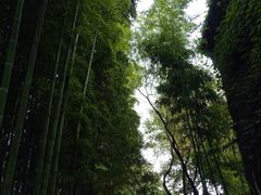 -梅园