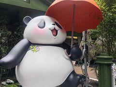 -轩客会(熊猫书店)