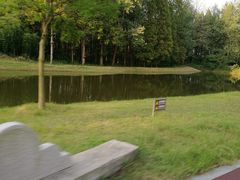 -黄海国家森林公园