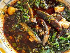 豆腐泥鳅-周鱼鳅饭店