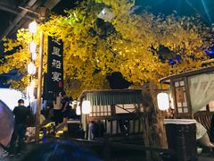 -淀里船宴(裕华东路店)