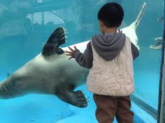 -海合安成都极地海洋公园
