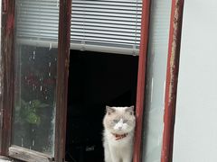 -漫笙舍Manse·咖啡·民宿