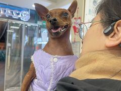 -瑞派·关忠动物医院·猫专科·犬专科(三环新城店)