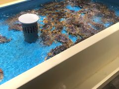 水产区-日进一片海.生腌海鲜火锅.宵夜烧烤(三里屯总店)