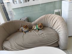 -怪兽屋·羊驼·猫咖·狗咖(俊华广场店)