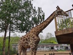 -大连森林动物园