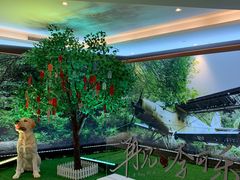 -英皇电影城(英皇集团中心IMAX店)