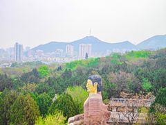 -千佛山风景名胜区