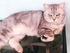 -平行世界·猫咖(首经贸店)