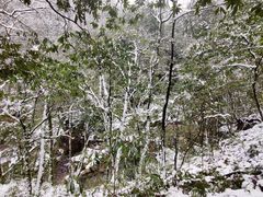 -西岭雪山大飞水景区