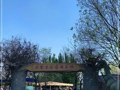 -大望京公园
