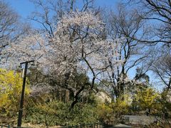 -紫竹院公园冰场