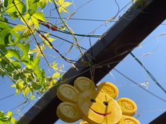 -沕沕水生态风景区