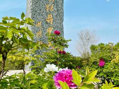 -洛阳市隋唐城遗址植物园