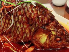 罾蹦鲤鱼-津菜宋记老房子(鼓楼店)