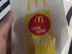 -麦当劳(塔园路店)