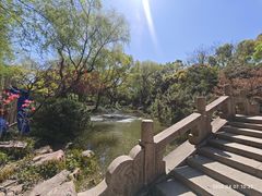 -上海醉白池公园