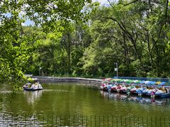 -黑龙江省森林植物园