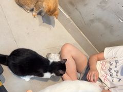 -Heymao猫咖.咖啡厅(东门店)