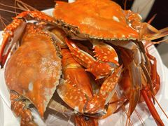 -初色海鲜自助(新辰里亚运村店)
