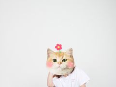 -羽·摄影工作室·外拍·跟拍·活动会议视频