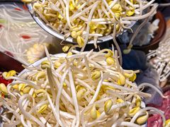 -阳阳老火锅(小南门店)